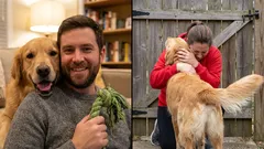 Czy psy potrafią powiedzieć „dziękuję” i jak to robią