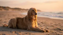 8 wymagających ras psów: kosztownych dla portfela i nerwów